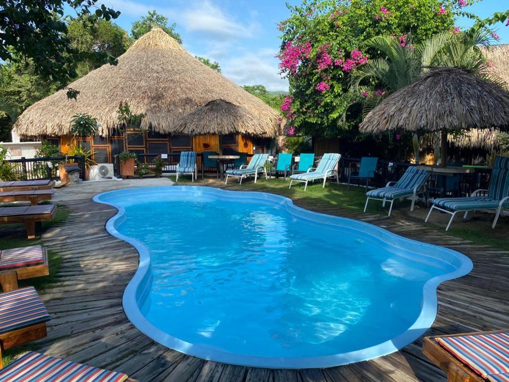 Bikini Hotel & Pool Palomino Extérieur photo
