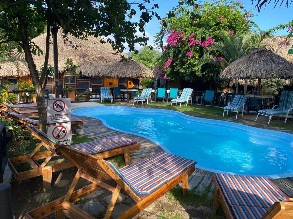 Bikini Hotel & Pool Palomino Extérieur photo